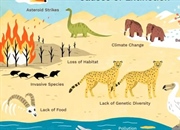 10 دلیلی که باعث انقراض گیاهان و جانوران می‌شود