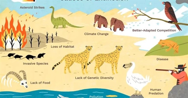 10 دلیلی که باعث انقراض گیاهان و جانوران می‌شود