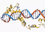 رونویسی DNA به RNA: از آغاز تا خاتمه