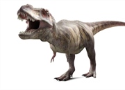 تیرانوسوروس رکس: پادشاه دایناسورها و حقایق شگفت انگیز آن