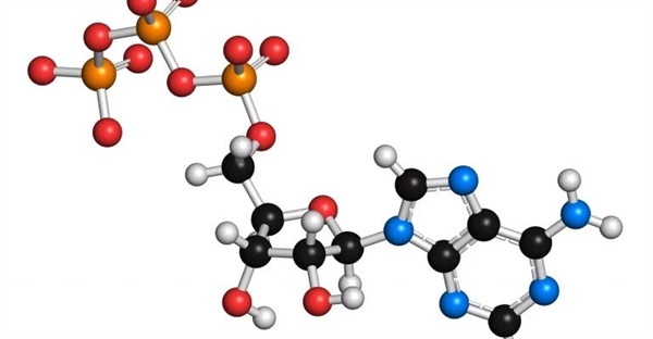 فسفریلاسیون: اهمیت و انواع آن در بیوشیمی و زیست شناسی مولکولی