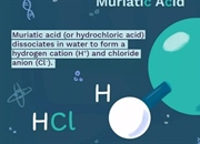 کاربردها و نکات ایمنی در مورد اسید موریاتیک (اسید هیدروکلریک)