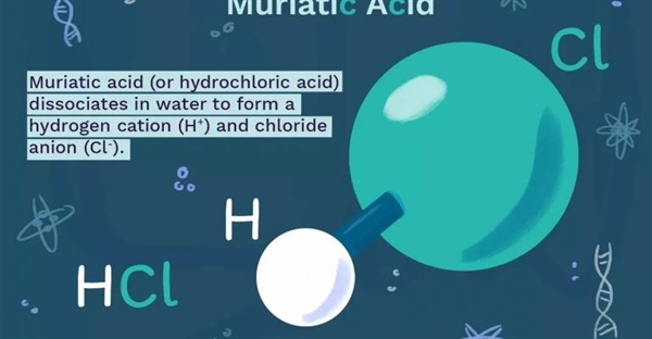 کاربردها و نکات ایمنی در مورد اسید موریاتیک (اسید هیدروکلریک)