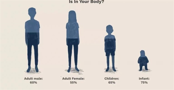 چند درصد از بدن انسان را آب تشکیل داده است؟