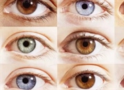 تفاوت آلل و ژن: تعریف، عملکرد و وراثت