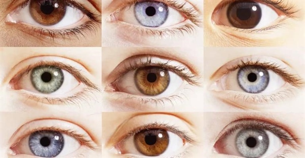 تفاوت آلل و ژن: تعریف، عملکرد و وراثت