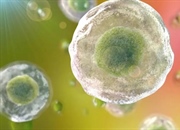 عملکردها و اجزای سیتوپلاسم سلول: آشنایی با ساختار و ویژگی ها