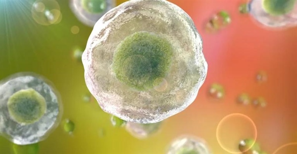 عملکردها و اجزای سیتوپلاسم سلول: آشنایی با ساختار و ویژگی ها