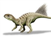 دیناسورهای زیبا: 10 نمونه از جذاب ترین دایناسورها در تاریخ زمین