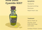 سیانید چیست و چگونه باعث مرگ می شود؟