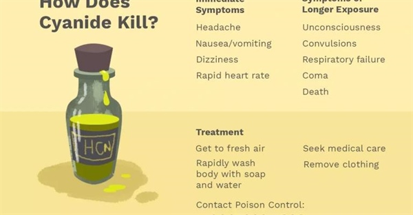 سیانید چیست و چگونه باعث مرگ می شود؟