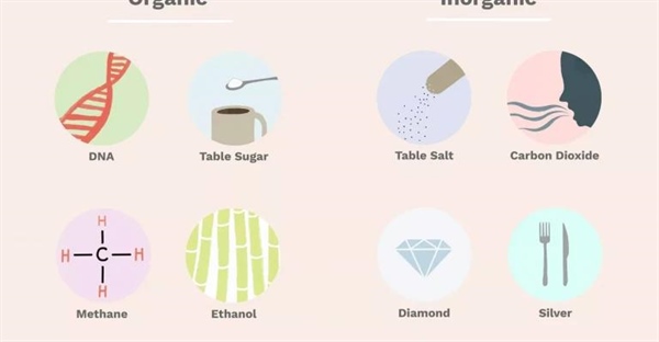 تفاوت ارگانیک و غیرارگانیک: بررسی مفاهیم و مثال ها