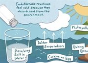 واکنش های اندوترمیک: تعریف، مثال ها و فرآیندها