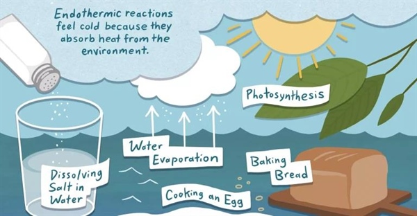 واکنش های اندوترمیک: تعریف، مثال ها و فرآیندها