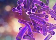 مقدمه ای بر پروکاریوت ها: ساختار، عملکرد و تکثیر آنها