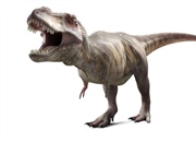 ۱۰ دایناسور محبوب: آشنایی با جذاب ترین موجودات جهان ماقبل تاریخ