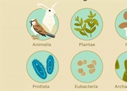 طبقه بندی موجودات زنده: شش پادشاهی و سه دامنه حیات