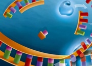 مراحل و فرآیند همانندسازی DNA