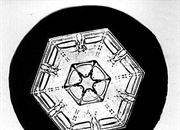 انواع شکل ها و الگوهای دانه های برف