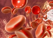 همودینامیک چیست؟ تعریف و بررسی سیستم گردش خون