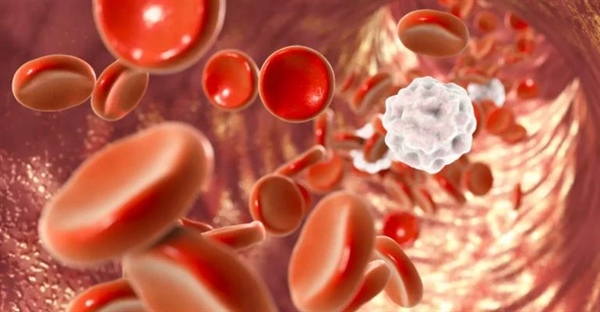 همودینامیک چیست؟ تعریف و بررسی سیستم گردش خون