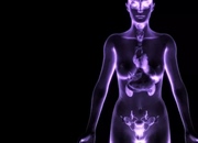 7 واقعیت جالب درباره سیستم غدد درون ریز