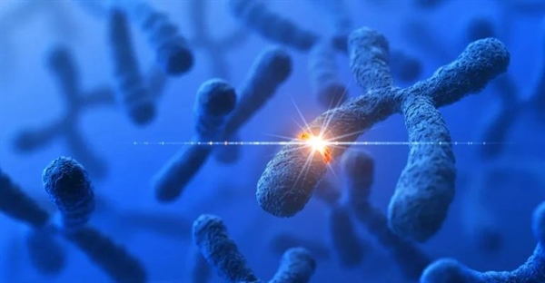 جهش ژنتیکی چیست و چگونه عمل می کند؟