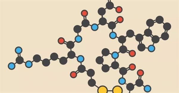 پپتید چیست؟ تعریف و مثال ها