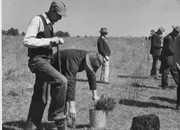 تاریخچه کوتاهی از رکود بزرگ