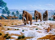 عصر سنوزوئیک همچنان ادامه دارد