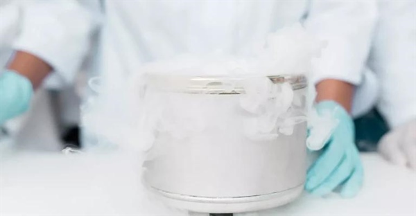 آیا لمس یا بلعیدن یخ خشک ایمن است؟