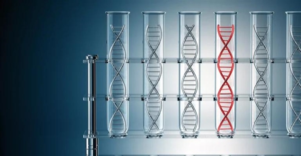  استخراج DNA در خانه: راهنمای تصویری + نکات کلیدی (گام به گام)