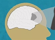 ناحیه بروکا: کشف اسرار تولید زبان در مغز