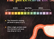 pH معده: راز سلامتی دستگاه گوارش شما!
