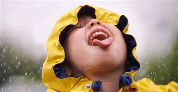 آیا نوشیدن آب باران بی خطر است؟ راهنمای جامع ایمنی و تصفیه آب باران