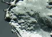 آفت قلع چیست؟ هر آنچه باید درباره بیماری قلع، علل و پیامدهای آن بدانید