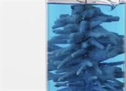 آموزش ساخت درخت نقره‌ای در خانه: یک آزمایش شیمیایی شگفت‌انگیز