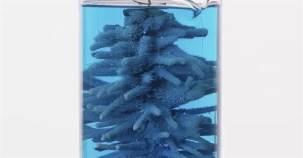 آموزش ساخت درخت نقره‌ای در خانه: یک آزمایش شیمیایی شگفت‌انگیز