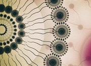 مولکول‌های آمفی‌پاتیک چیست؟ تعریف، خواص و عملکردهای حیاتی