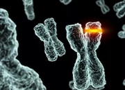 انواع جهش DNA: از تغییرات نقطه‌ای تا اختلال در چارچوب خوانش