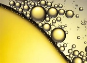 لیپیدها: چربی‌ها، استروئیدها و نقش حیاتی آن‌ها در بدن