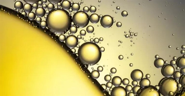 لیپیدها: چربی‌ها، استروئیدها و نقش حیاتی آن‌ها در بدن