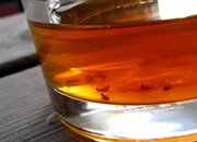 10 ترفند طلایی برای ریشه کن کردن مگس میوه در خانه!