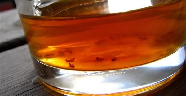 10 ترفند طلایی برای ریشه کن کردن مگس میوه در خانه!