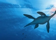 سیر تکاملی جانوران: سفری ۵۰۰ میلیون ساله در ۱۰ گام کلیدی