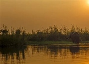 زامبیا: سفری در تاریخ از کوچ بانتوها تا جمهوری