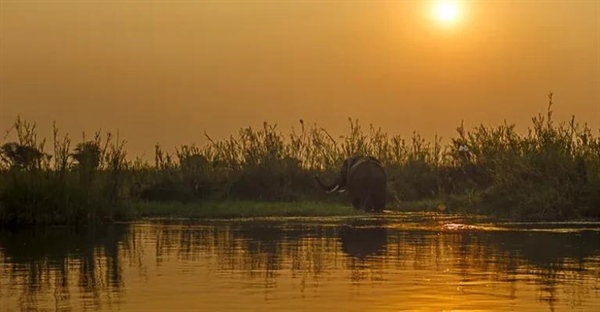 زامبیا: سفری در تاریخ از کوچ بانتوها تا جمهوری