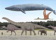 غول‌های ماقبل تاریخ: اندازه واقعی دایناسورها و موجودات عظیم!