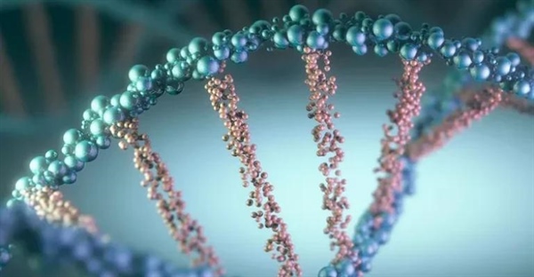 10 حقیقت شگفت‌انگیز DNA: رازهای ژنتیکی که باید بدانید!