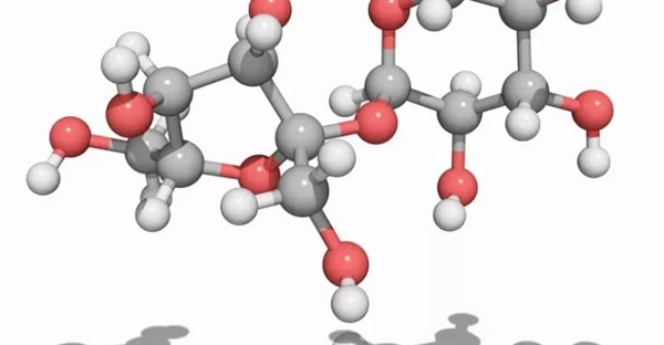 ساکارز، لاکتوز، مالتوز: راهنمای جامع دیساکاریدها + جدول و کاربردها
